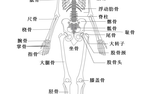 孕妇手背痒是什么原因-【孕妇手背皮肤过敏症状图片大全】孕妇手背上起小疙瘩很痒 - 孕妇手背皮肤过敏症状图片网