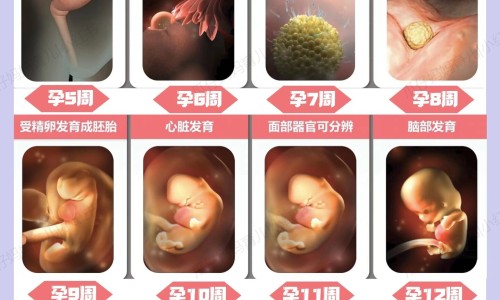 孕妇手背像被烫到了一样疼-【孕妇手背皮肤过敏症状图片大全】孕妇手背上起小疙瘩很痒 - 孕妇手背皮肤过敏症状图片网