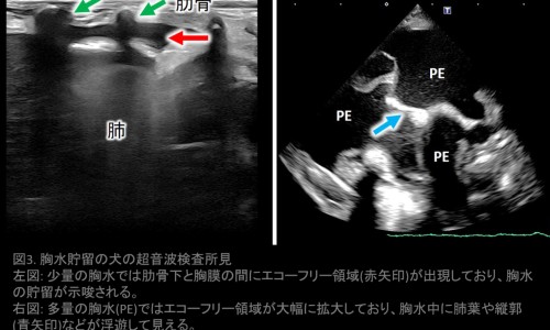 孕妇手背皮肤过敏症状图片-【孕妇手背皮肤过敏症状图片大全】孕妇手背上起小疙瘩很痒 - 孕妇手背皮肤过敏症状图片网