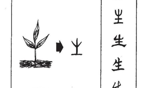 【孕妇手背皮肤过敏症状图片大全】孕妇手背上起小疙瘩很痒 - 孕妇手背皮肤过敏症状图片网